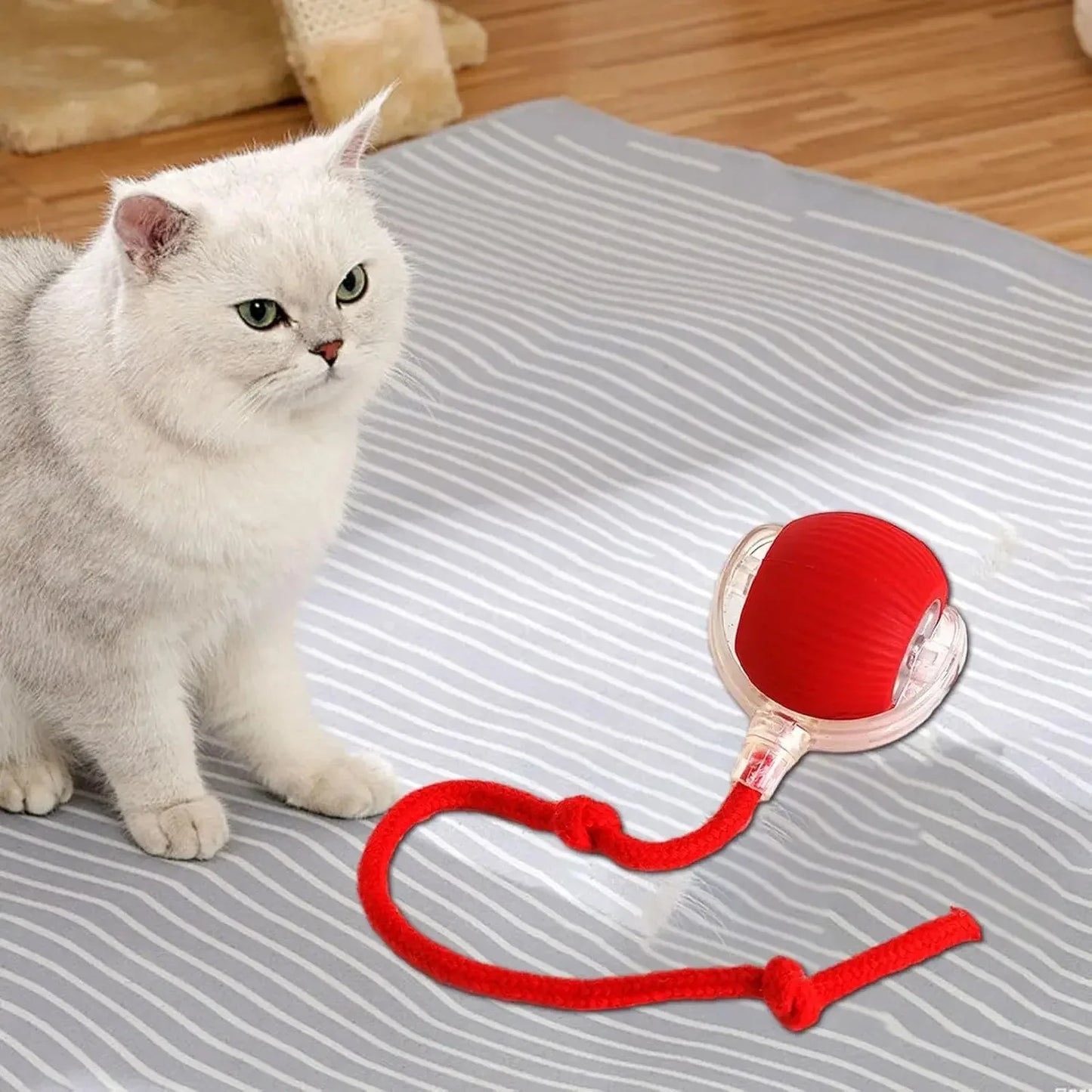 Katzenspielzeug - Elektrischer Spiel Ball für Haustiere