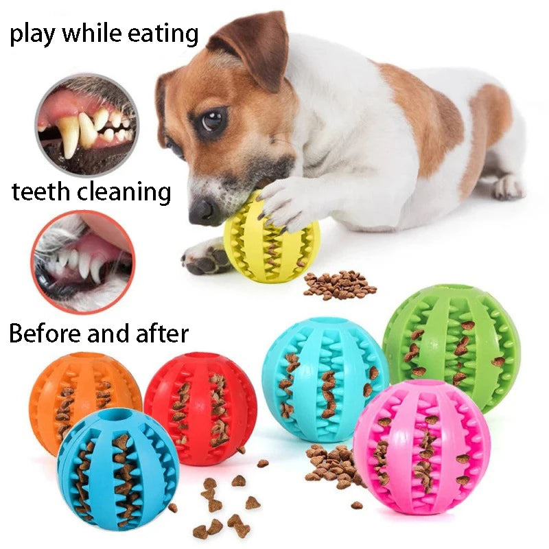 Naturgummi Hundespielball zur Zahnpflege