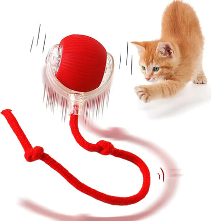 Katzenspielzeug - Elektrischer Spiel Ball für Haustiere