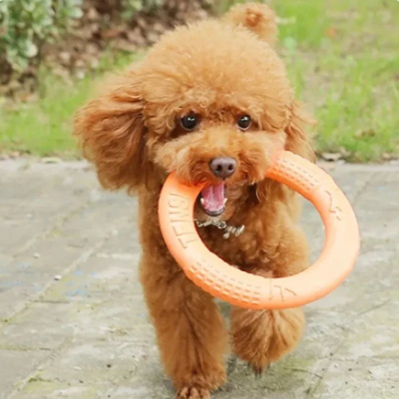 Hundespielzeug aus EVA zur Zahnpflege