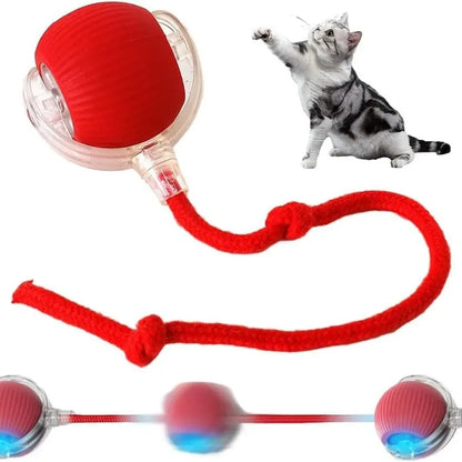 Katzenspielzeug - Elektrischer Spiel Ball für Haustiere