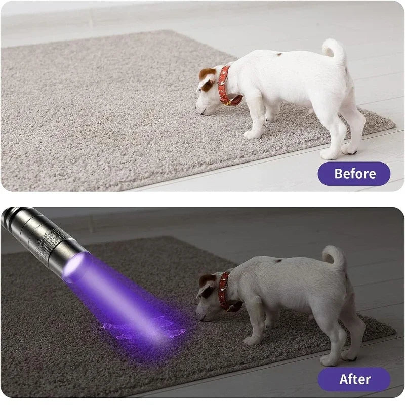 UV Flashlight Mini 