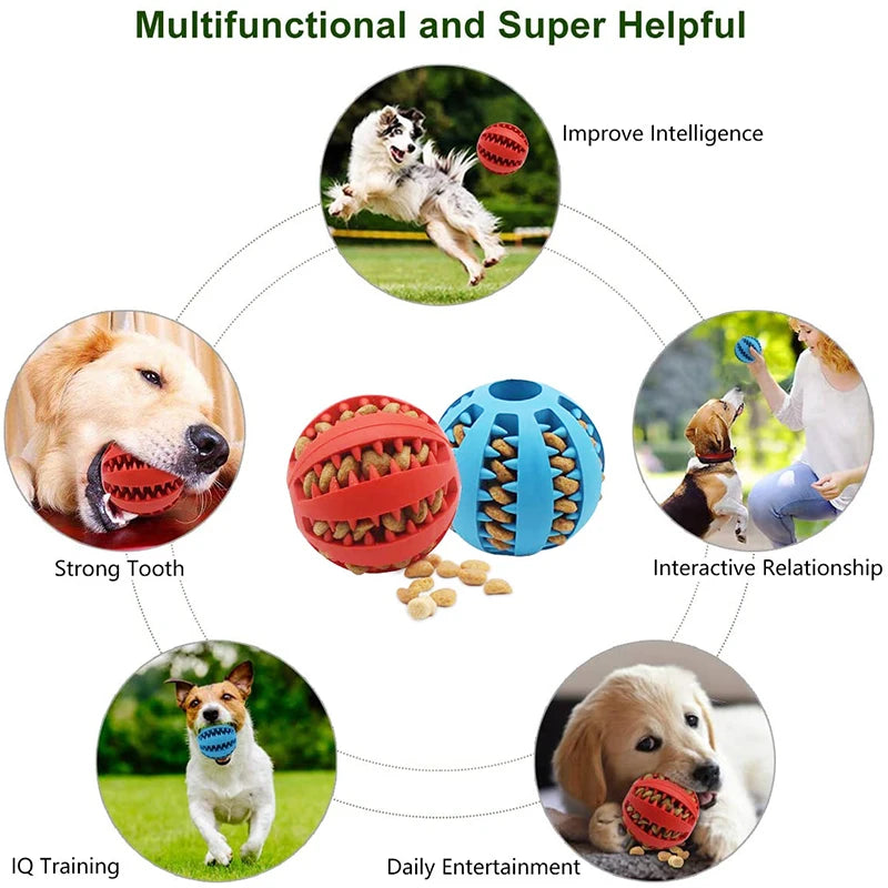 Naturgummi Hundespielball zur Zahnpflege